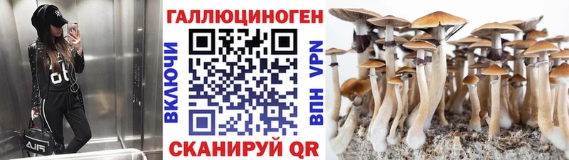 Псилоцибиновые грибы Cubensis  сколько стоит  Мариинск 